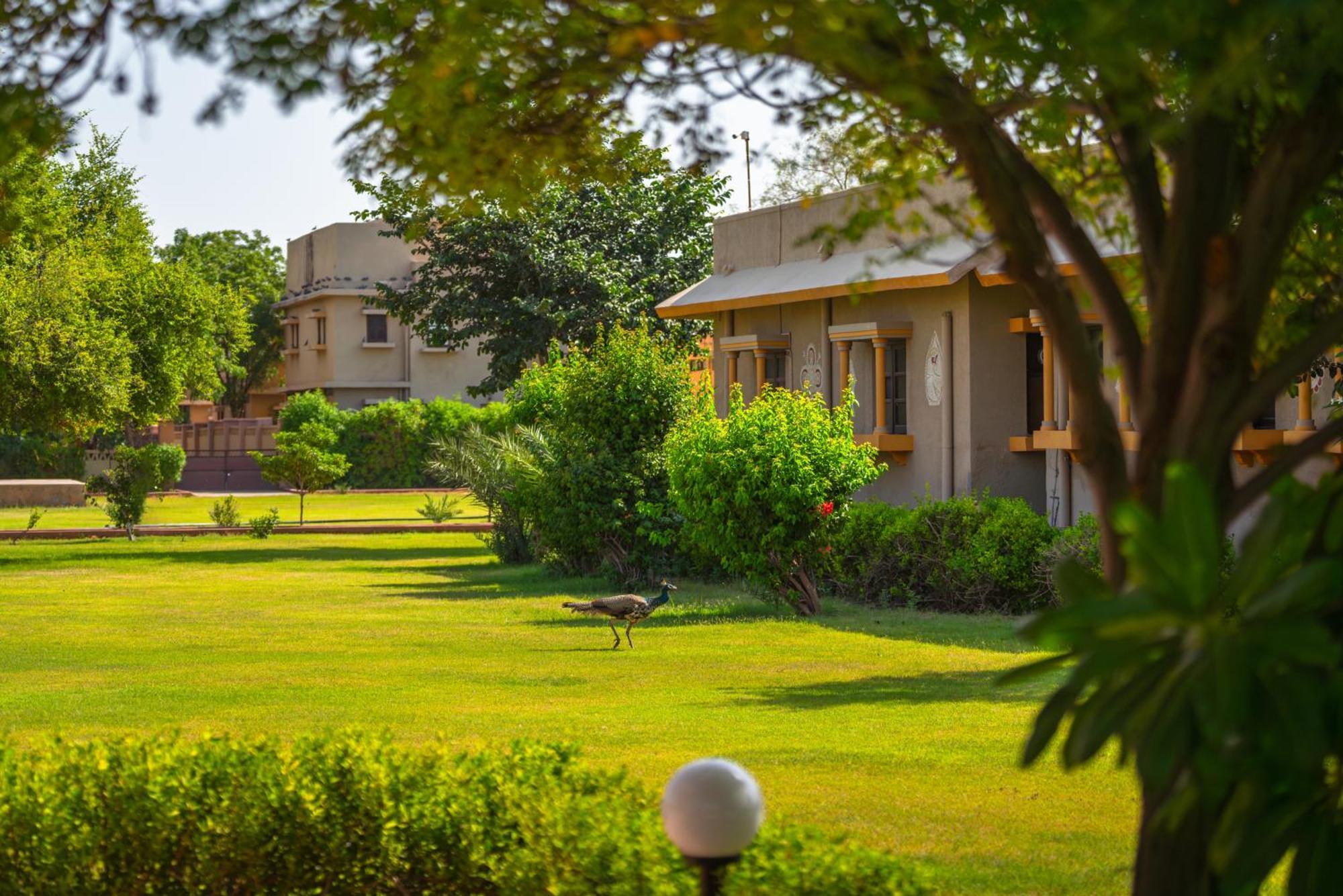 Thar Oasis Resort And Camp Dechu Zewnętrze zdjęcie